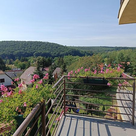 Koekeny Apartman Bogacs Bagian luar foto